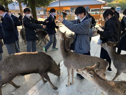 奈良公園